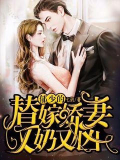 待嫁十年 电视剧影视海报