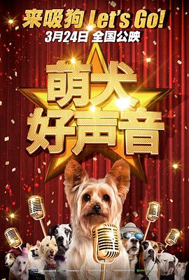 电视剧密查影视海报