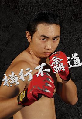 66影视手机版影视海报