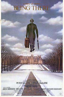 三邦车视年轻的保姆影视海报