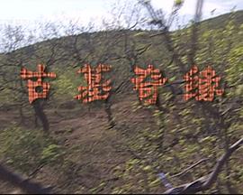 无巧不成书影视海报